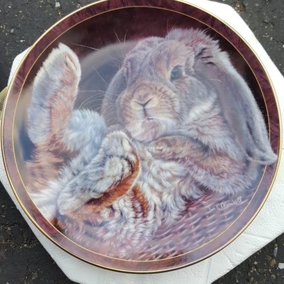Other - Collectible plates